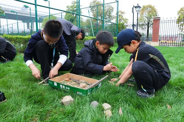 Eco club,Wellington College International Hangzhou