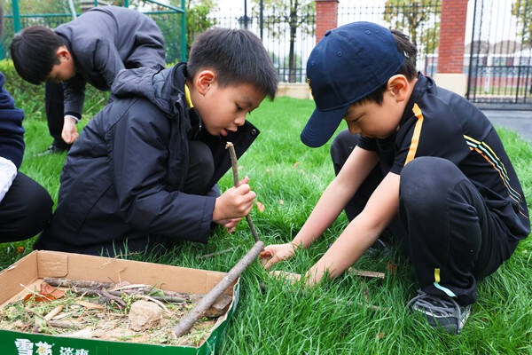 Eco club,Wellington College International Hangzhou