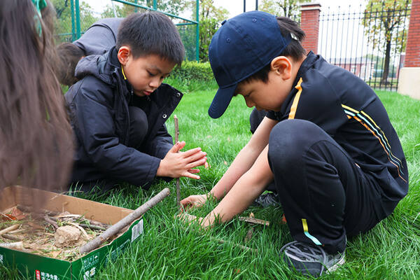 Eco club,Wellington College International Hangzhou