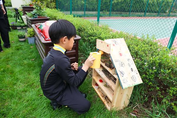 Eco club,Wellington College International Hangzhou