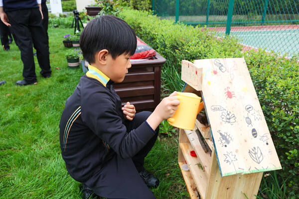 Eco club,Wellington College International Hangzhou