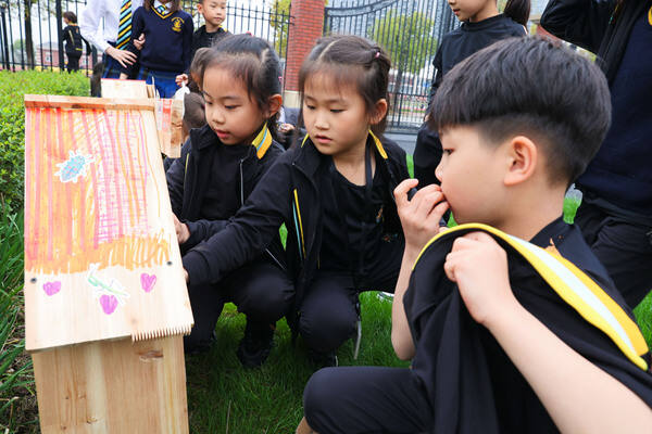 Eco club,Wellington College International Hangzhou