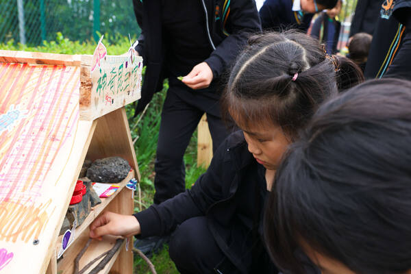 Eco club,Wellington College International Hangzhou