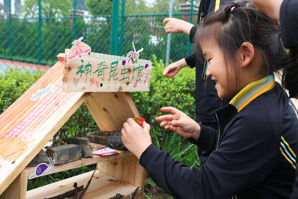 Eco club,Wellington College International Hangzhou