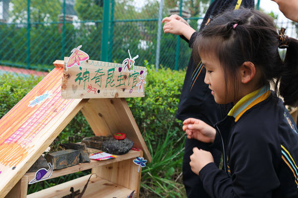 Eco club,Wellington College International Hangzhou