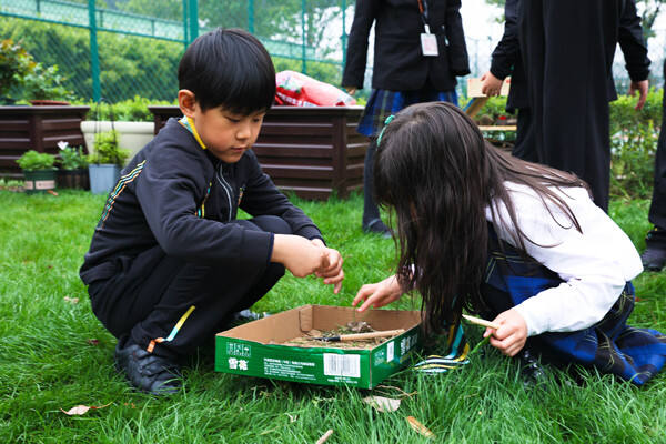Eco club,Wellington College International Hangzhou