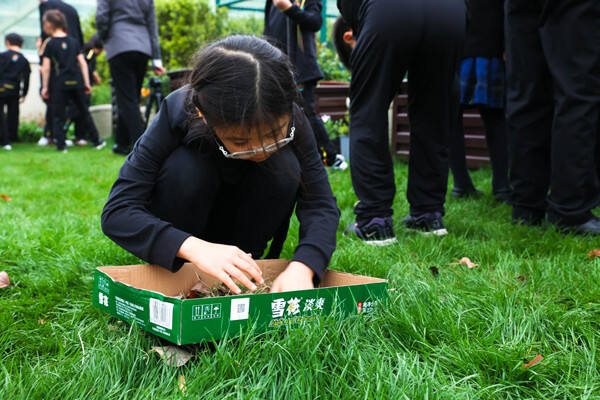 Eco club,Wellington College International Hangzhou