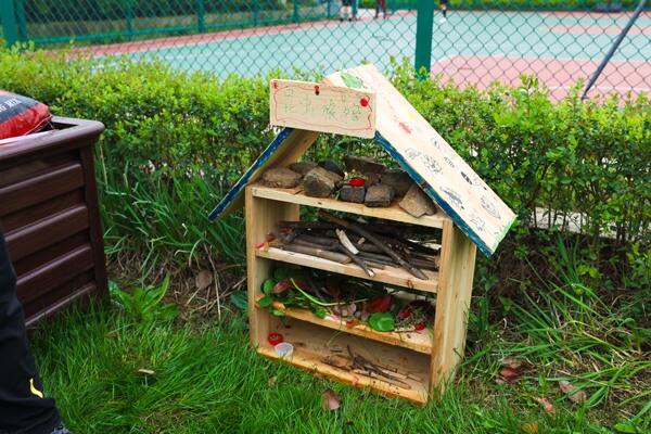 Eco club,Wellington College International Hangzhou