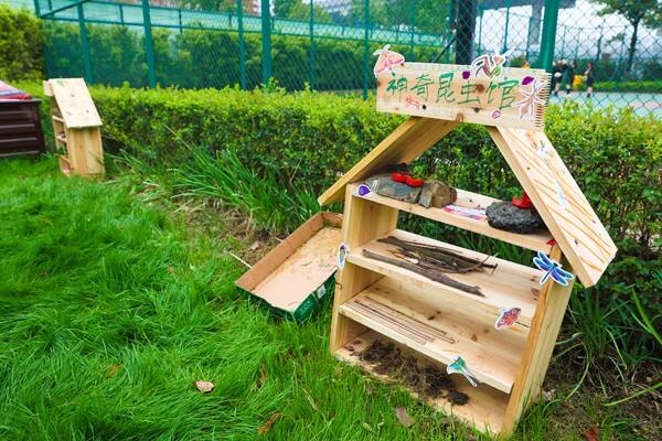 Eco club,Wellington College International Hangzhou