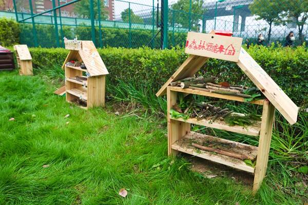 Eco club,Wellington College International Hangzhou