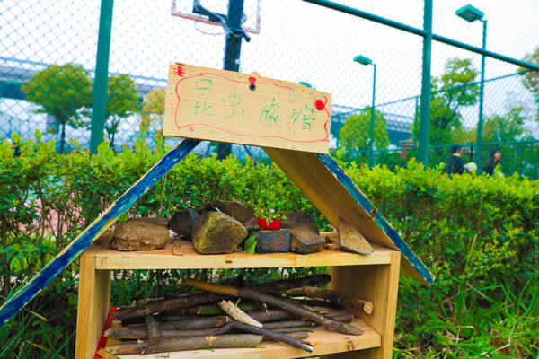 Eco club,Wellington College International Hangzhou