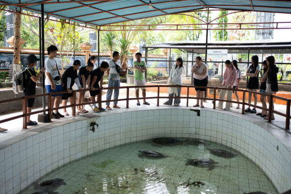 Changemakers' Week,Wellington College International Hangzhou