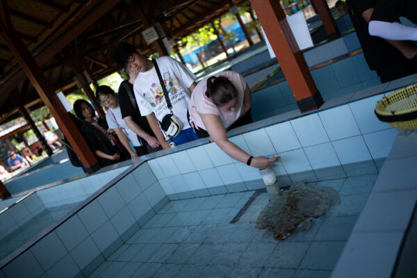 Changemakers' Week,Wellington College International Hangzhou
