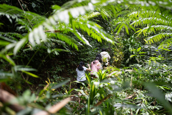 Changemakers' Week,Wellington College International Hangzhou