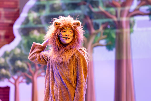 Madagascar,Wellington College International Hangzhou
