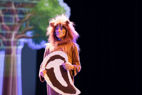 Madagascar,Wellington College International Hangzhou