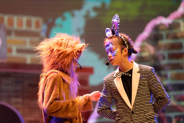 Madagascar,Wellington College International Hangzhou
