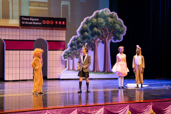 Madagascar,Wellington College International Hangzhou