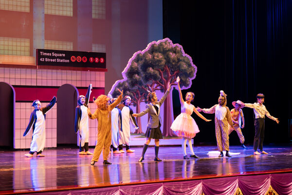 Madagascar,Wellington College International Hangzhou