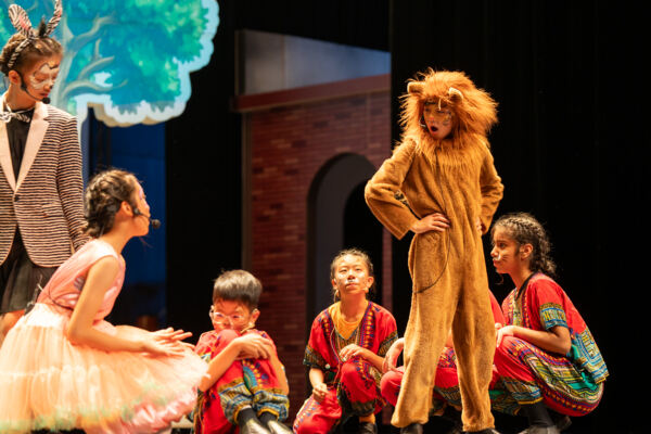 Madagascar,Wellington College International Hangzhou