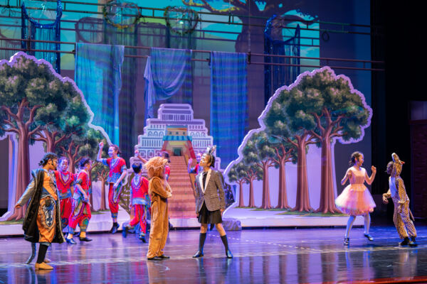 Madagascar,Wellington College International Hangzhou