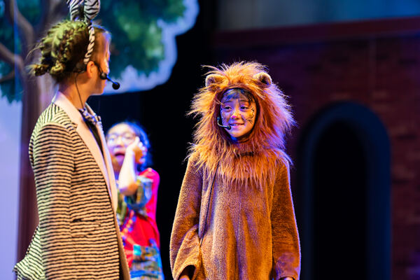 Madagascar,Wellington College International Hangzhou