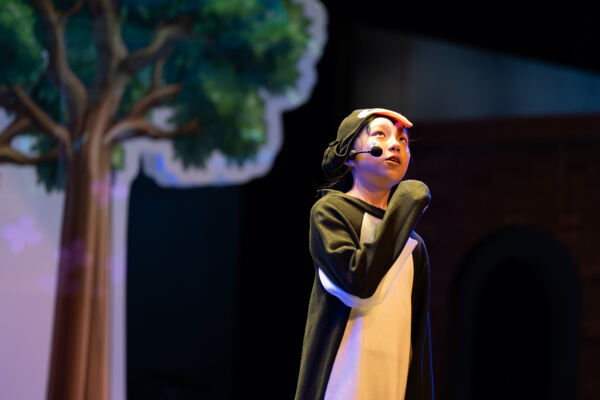 Madagascar,Wellington College International Hangzhou