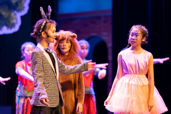 Madagascar,Wellington College International Hangzhou