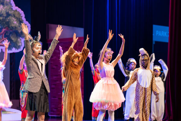 Madagascar,Wellington College International Hangzhou