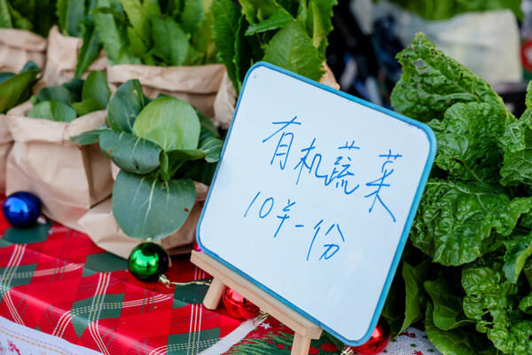 Winter Fair,Wellington College International Hangzhou