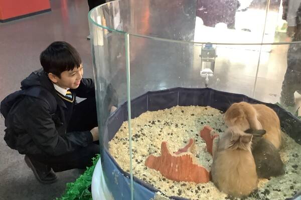 Primary school residential trip ,Wellington College International Hangzhou
