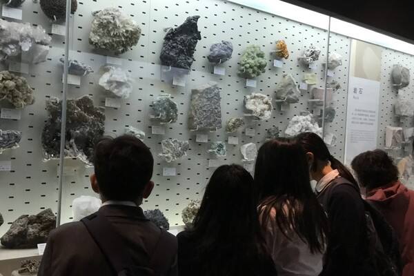 Primary school residential trip ,Wellington College International Hangzhou