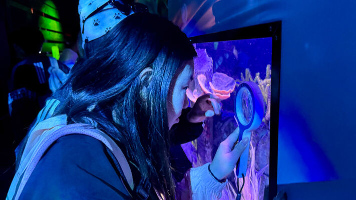 Changemakers' Week,Wellington College International Hangzhou