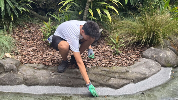 Changemakers' Week,Wellington College International Hangzhou