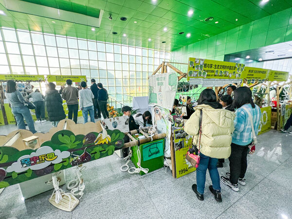 Roots & Shoots,Wellington College International Hangzhou