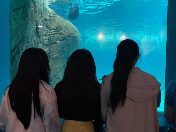 Changemakers' Week,Wellington College International Hangzhou