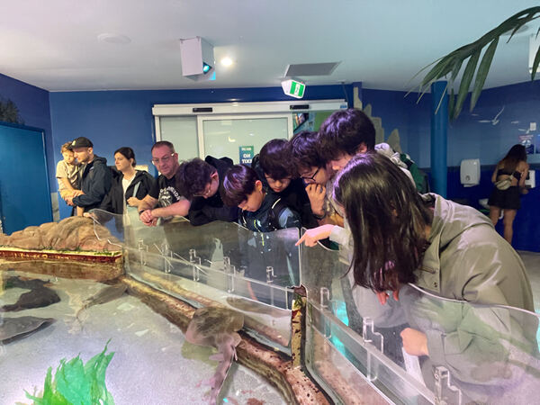 Changemakers' Week,Wellington College International Hangzhou