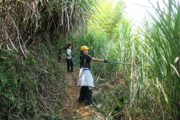 Changemakers' Week,Wellington College International Hangzhou