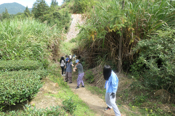 Changemakers' Week,Wellington College International Hangzhou