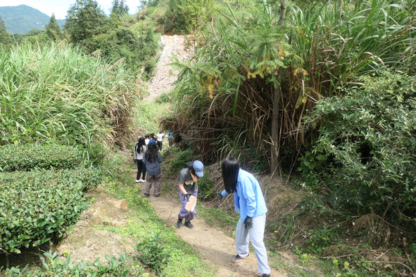 Changemakers' Week,Wellington College International Hangzhou