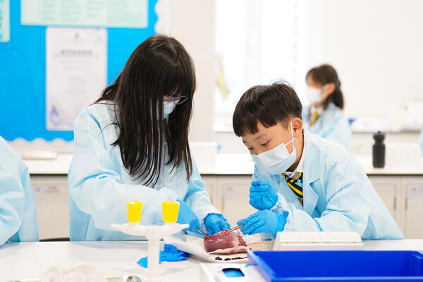 Wellington Science Week,Wellington College International Hangzhou