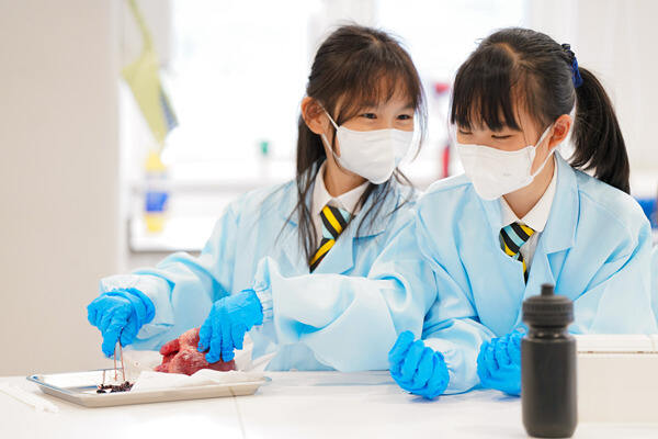 Wellington Science Week,Wellington College International Hangzhou