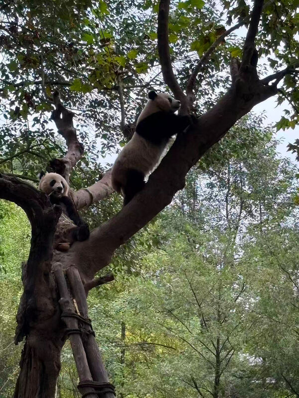 Changemakers' Week,Wellington College International Hangzhou