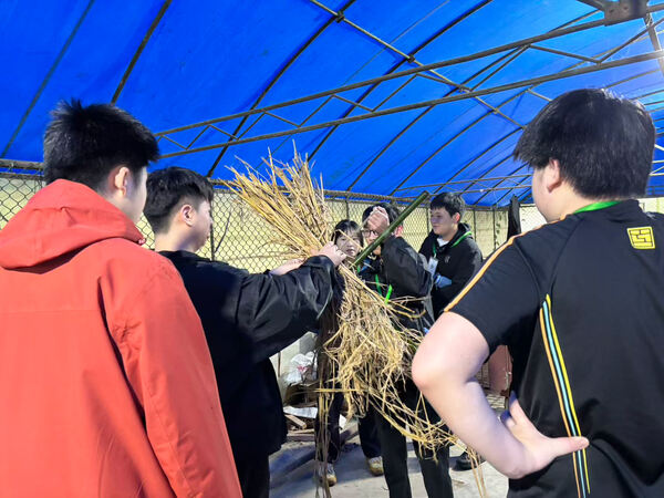 Changemakers' Week,Wellington College International Hangzhou