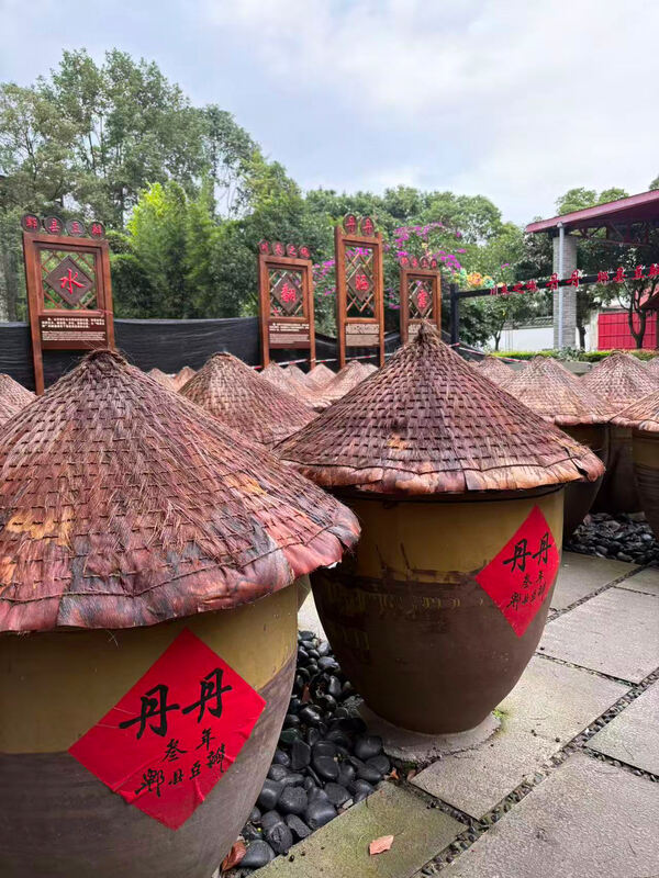 Changemakers' Week,Wellington College International Hangzhou