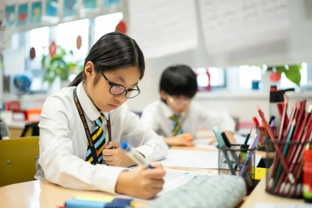 Differentiated Teaching Empowering Chinese Language Growth