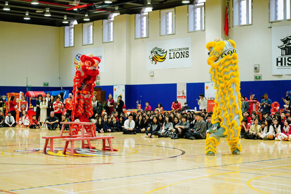 Chinese New Year Celebrations,Hiba Academy Hangzhou
