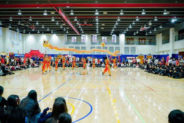 Chinese New Year Celebrations,Hiba Academy Hangzhou