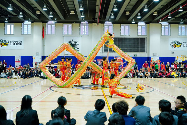 Chinese New Year Celebrations,Hiba Academy Hangzhou