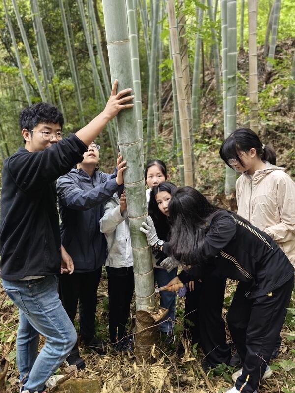 Changemakers Trips,Hiba Academy Hangzhou